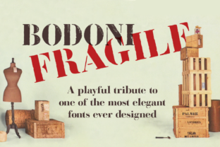 Bodoni Fragile: The Elegant Serif for Polished Brand Identity