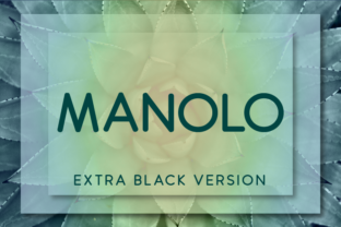 Manolo Extra Black: The Premium Sans Serif for Scroll-Stopping Visuals