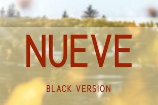 Nueve Black: A Premium Sans Serif for Modern Editorial Design