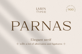 Parnas: A Designer's Real-World Review of This Premium Serif