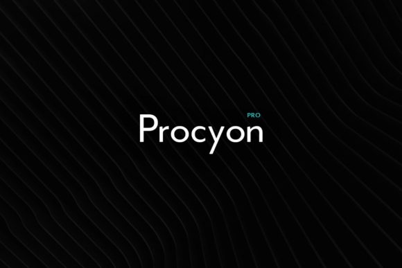 Procyon: The Minimal Sans Serif Font for Consistent Branding
