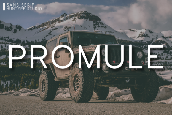 Promule: The Sans Serif Typeface That Elevates Your Campaign Design
