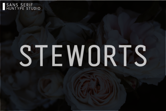Steworts: The Elegant Sans Serif Typeface for Scroll-Stopping Campaigns