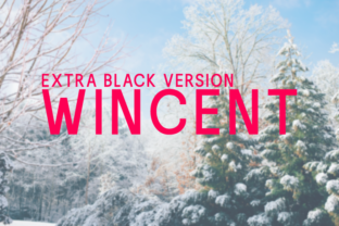 Wincent Extra Black: The Modern Typeface for Impactful Web Design