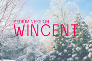Wincent Medium: The Geometric Typeface for Modern Editorial Design
