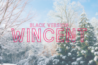 Wincent Outline Extra Black: The Premium Font for Bold Brand Identity